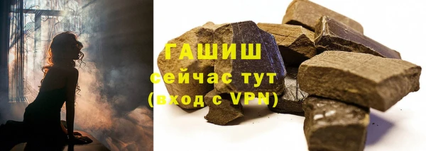 сатива Каменногорск