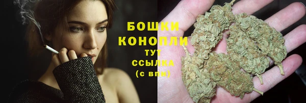 сатива Каменногорск