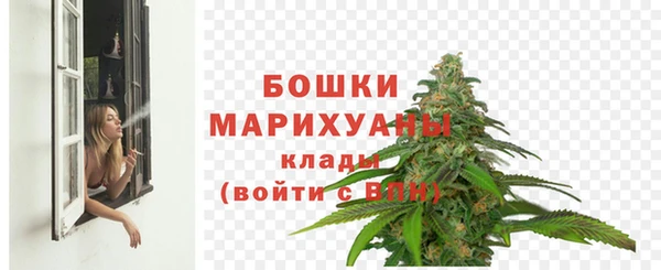 сатива Каменногорск