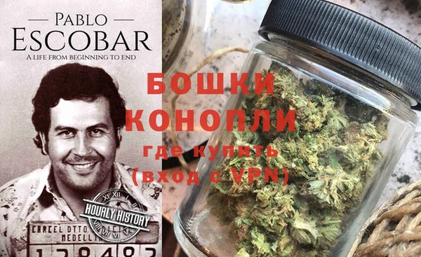 сатива Каменногорск
