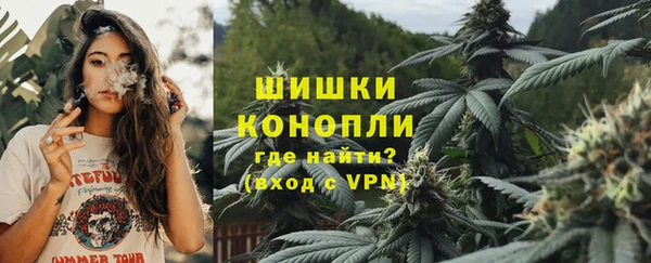 сатива Каменногорск