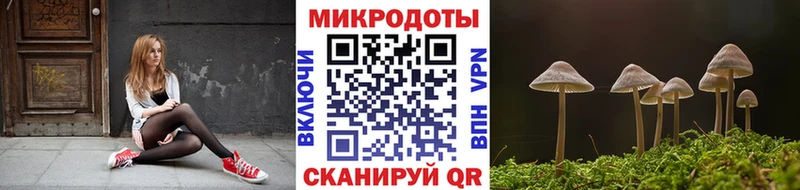 Галлюциногенные грибы GOLDEN TEACHER  Купить закладки  Калач-на-Дону 